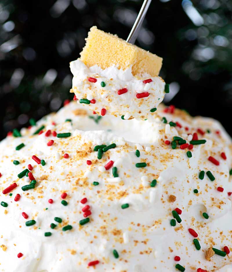 30 Best Christmas Party Dips - Prudent Penny Pincher