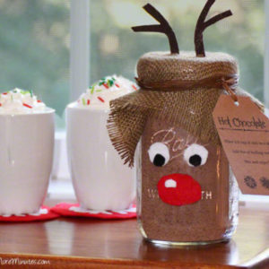 75 Mason Jar DIY Christmas Decorations - Prudent Penny Pincher