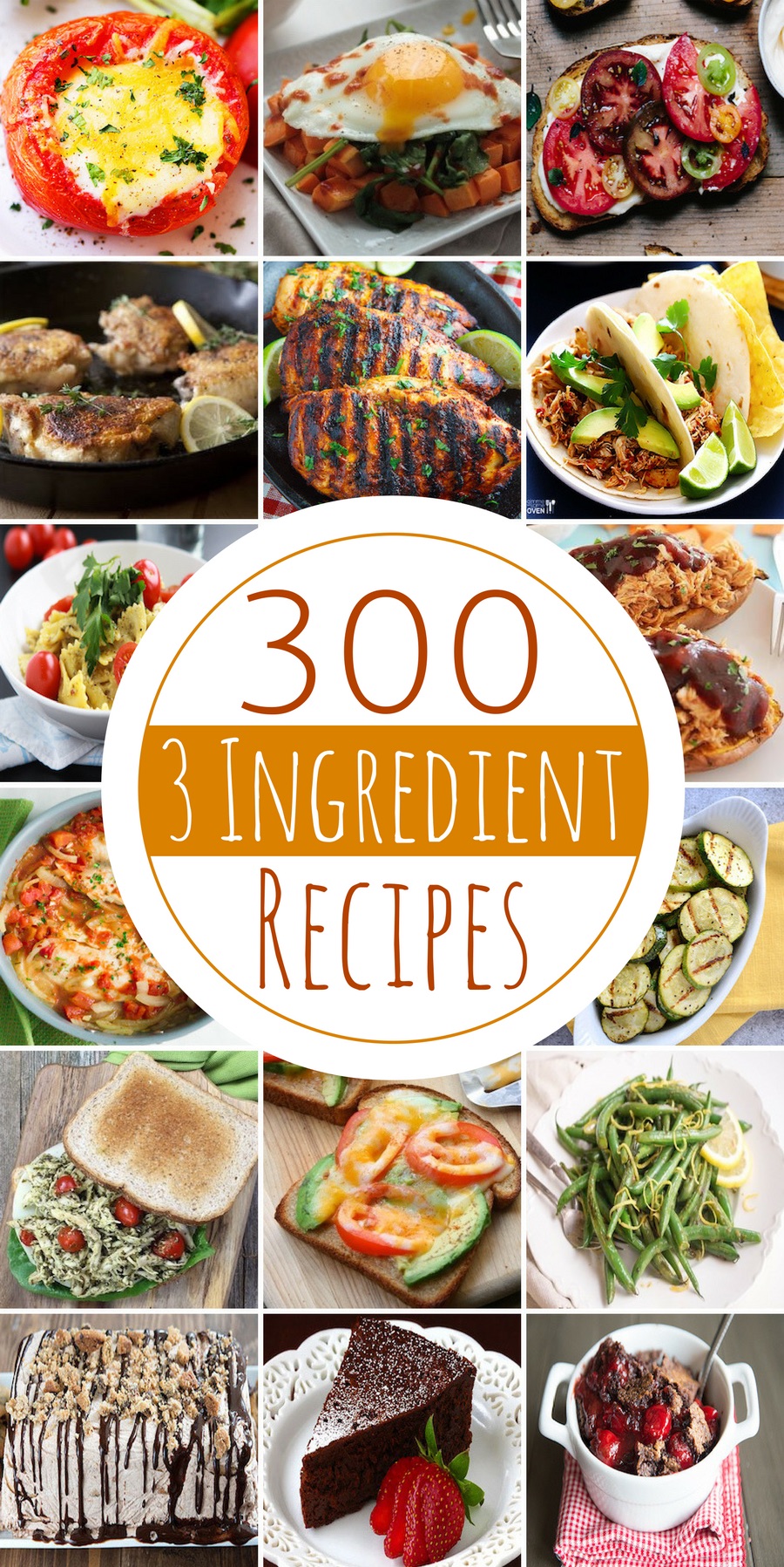 300 3 Ingredient Recipes Prudent Penny Pincher