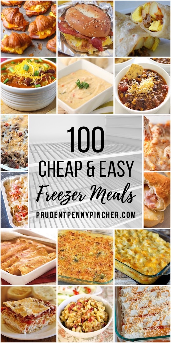 20 Easy Instant Pot Recipes for Beginners- Thrifty Frugal Mom