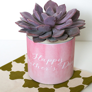 5 DIY Mother's Day Gift Ideas  Budget Friendly Mother's Day Gift Ideas -  Raising Nobles