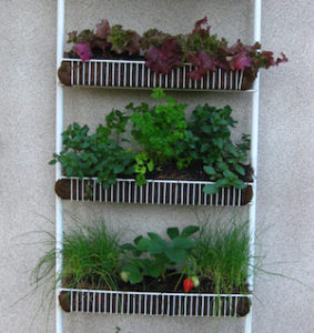 60 DIY Herb Garden Ideas - Prudent Penny Pincher