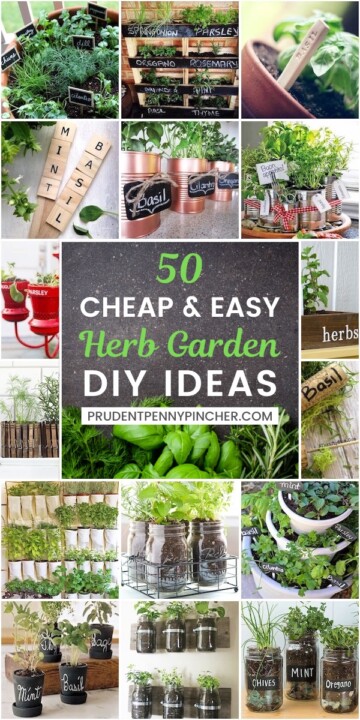 60 DIY Herb Garden Ideas - Prudent Penny Pincher