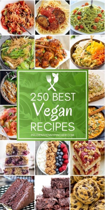 200 Meatless Meals for Families on a Budget - Prudent Penny Pincher