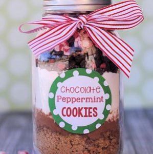 150 Best Christmas Gifts In A Jar - Prudent Penny Pincher