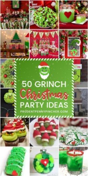 50 Best Grinch Christmas Party Ideas - Prudent Penny Pincher