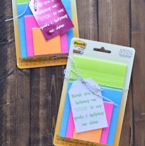 100 Best DIY Teacher Appreciation Gifts - Prudent Penny Pincher