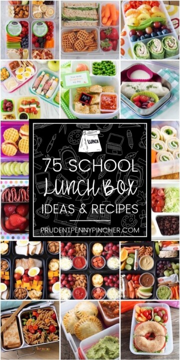 75 Back To School Kids Lunch Box Ideas - Prudent Penny Pincher