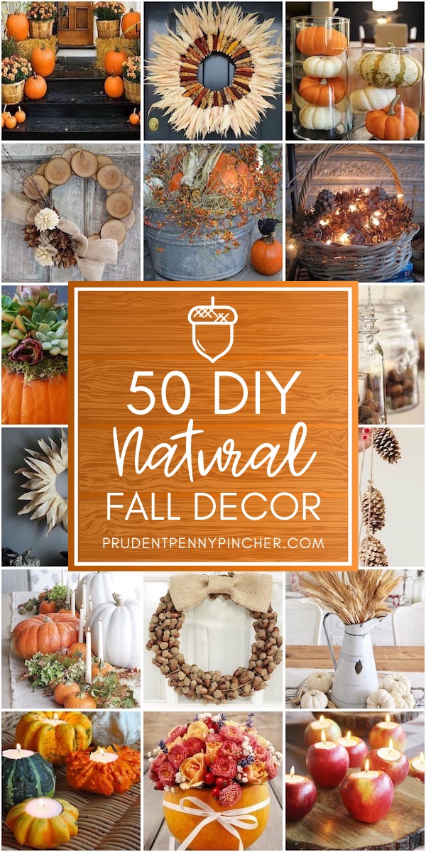 50 DIY Natural Fall Decor Ideas - Prudent Penny Pincher