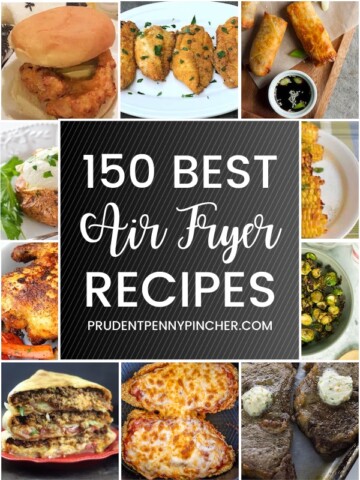 https://www.prudentpennypincher.com/wp-content/uploads/2019/12/air-fryer-recipes-2020-360x480.jpg