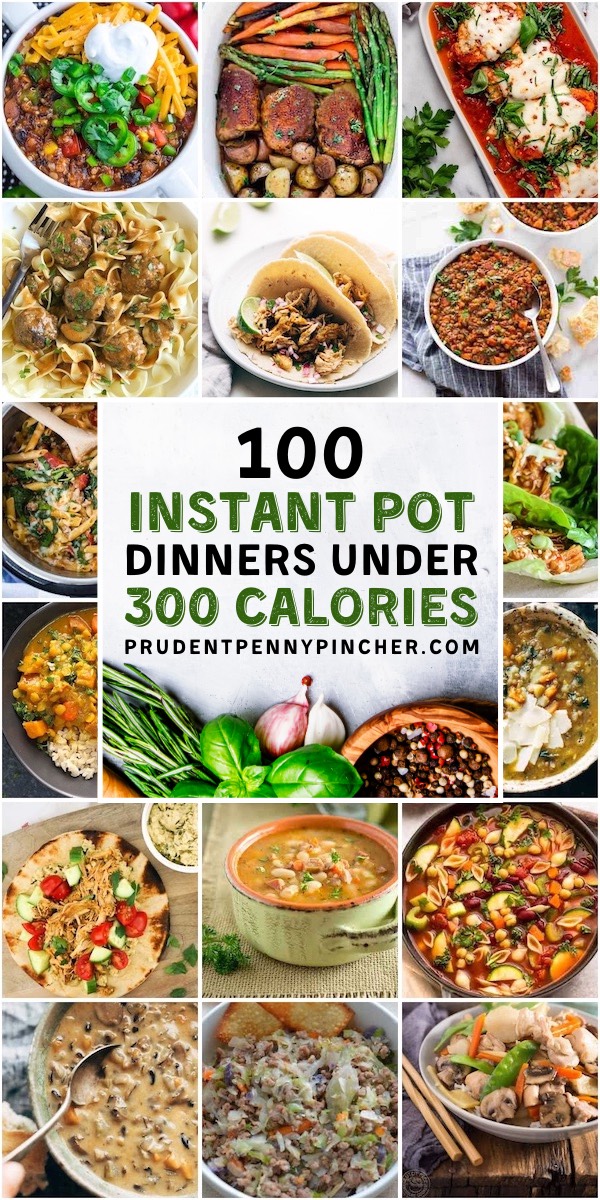 100 Instant Pot Recipes Under 300 Calories Prudent Penny Pincher