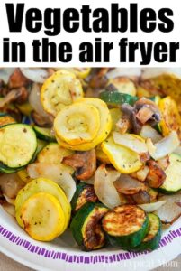 100 Easy And Healthy Air Fryer Recipes For Dinner - Prudent Penny Pincher