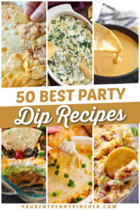 30 Cinco De Mayo Party Dip Appetizer Recipes - Prudent Penny Pincher