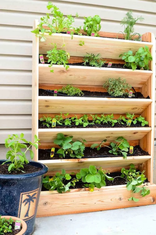 60 DIY Vertical Garden Ideas For Small Spaces Prudent Penny Pincher