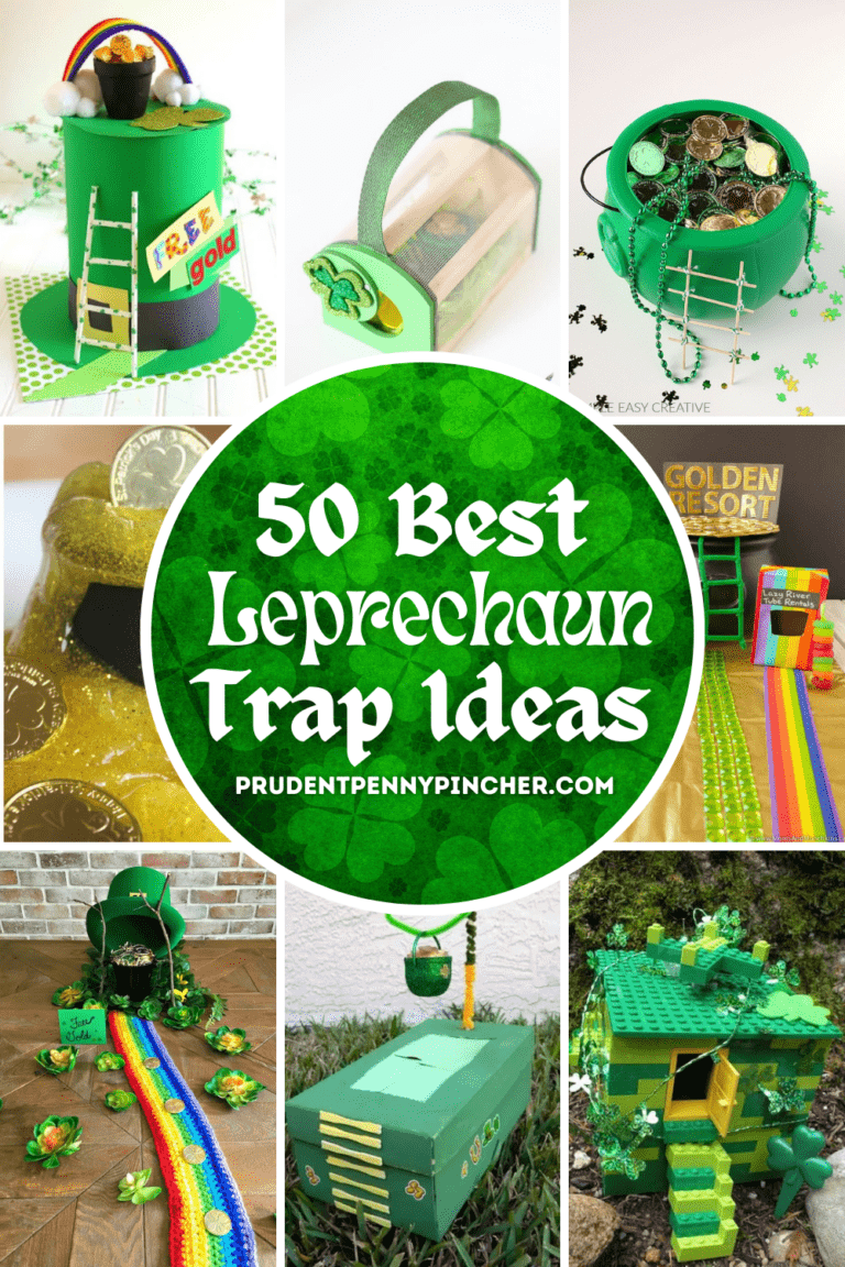 50 Best Leprechaun Trap Ideas - Prudent Penny Pincher