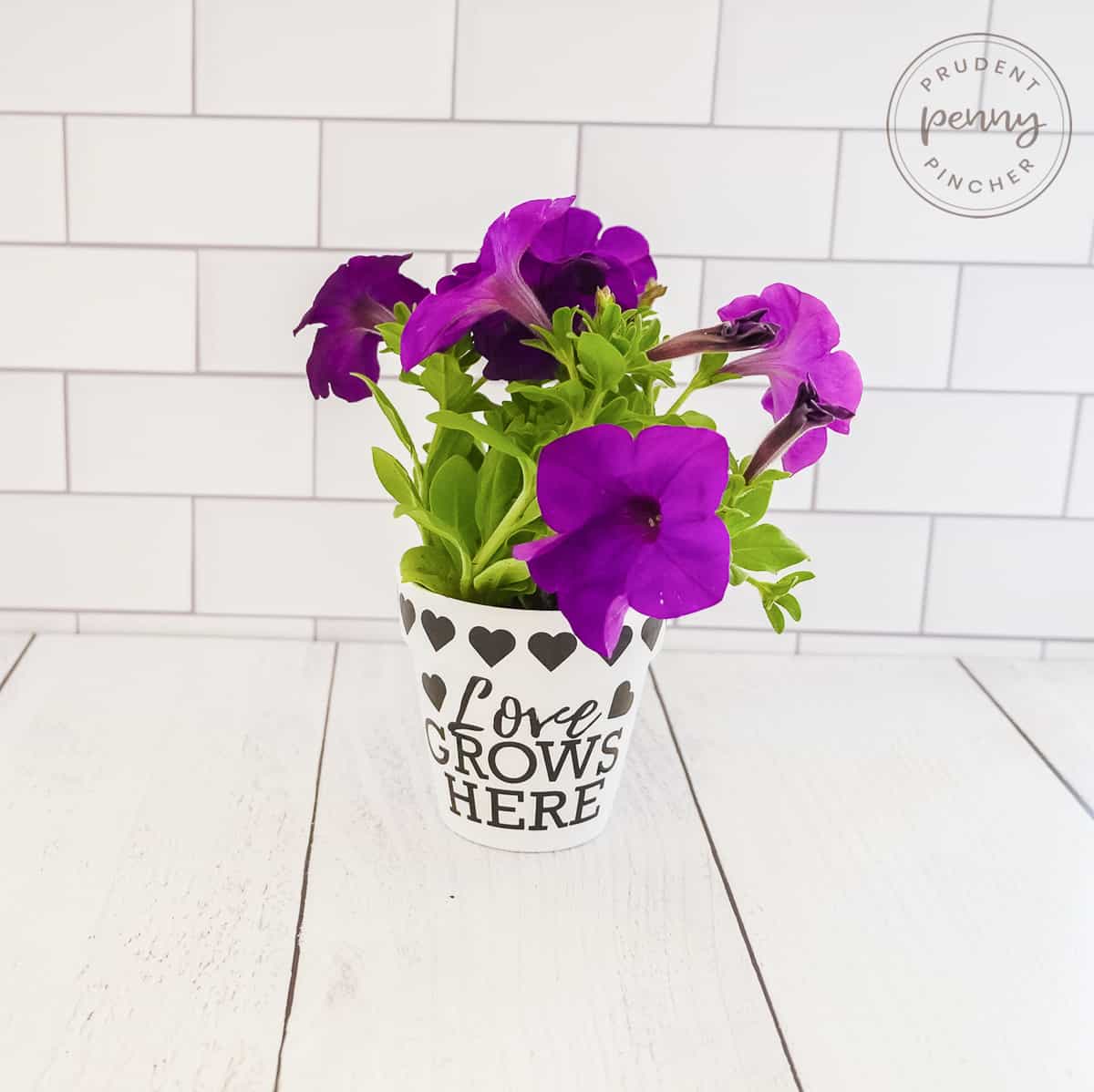 Easy Diy Mothers Day Flower Pot Prudent Penny Pincher