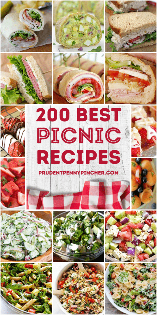 100 Best Camping Recipes - Prudent Penny Pincher