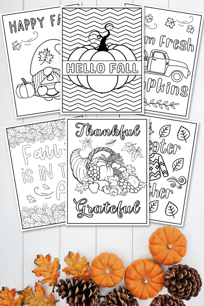 25 Pumpkin Coloring Pages: 2024 Free Printable Sheets