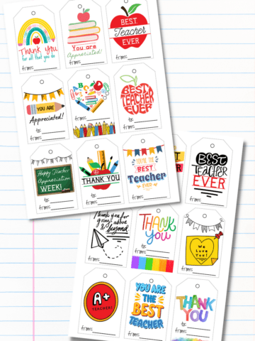 https://www.prudentpennypincher.com/wp-content/uploads/2023/04/20-Free-Printable-Teacher-Appreciation-Tags2-360x480.png