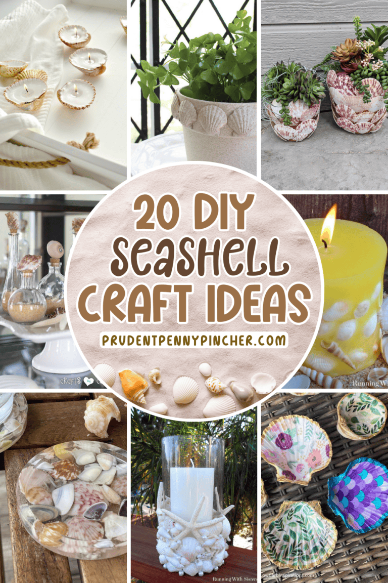 20 Easy Diy Seashell Crafts And Decor Ideas - Prudent Penny Pincher