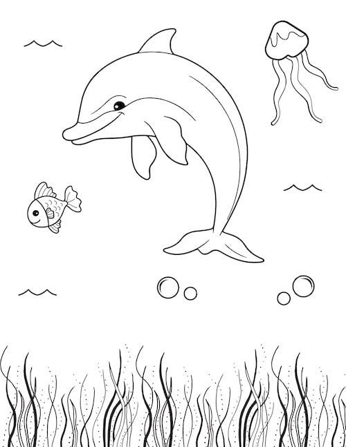 happy dolphin under the sea