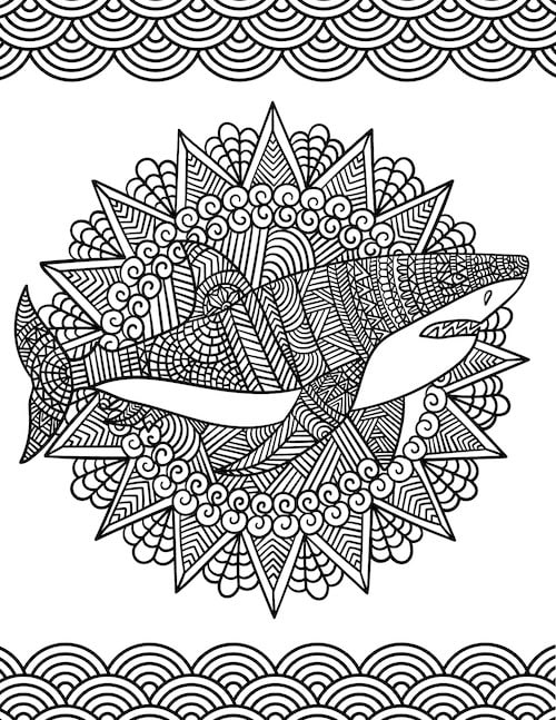 shark mandala coloring page