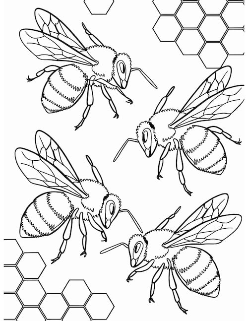 Detailed bee coloring page featuring realistic bees near honeycomb hexagons, great for older kids.