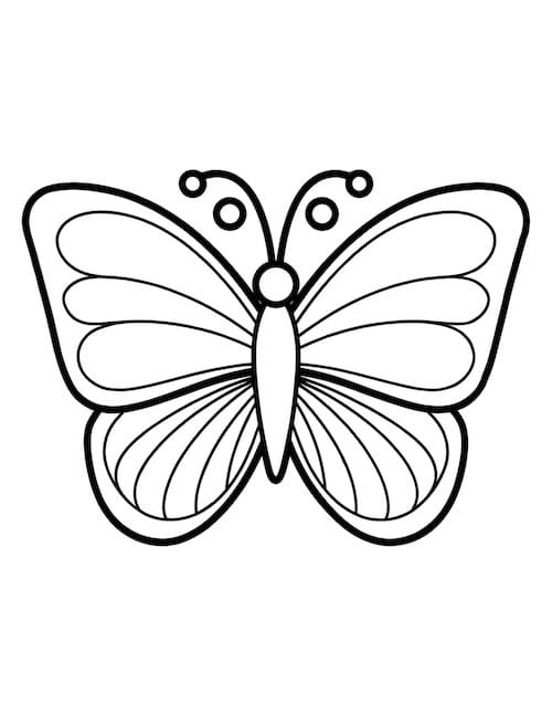 simple, bold butterfly coloring page with large open wings for easy coloring.