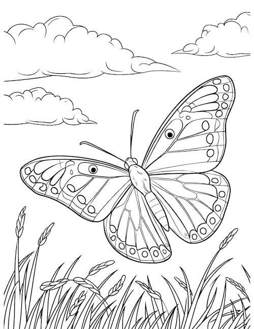 coloring page of a realistic butterfly flying over a field of tall grass under a sky filled with clouds.