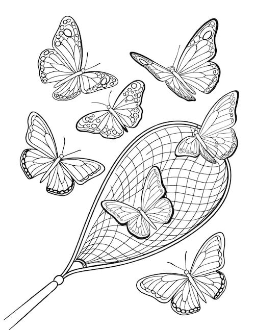 several butterflies fluttering near a net, as if about to be caught.