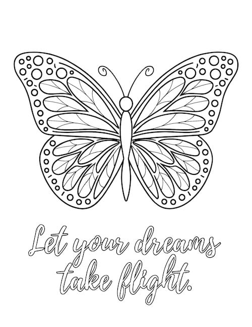 detailed butterfly with symmetrical, intricate patterns in its wings, with the words "Let your dreams take flight" below.